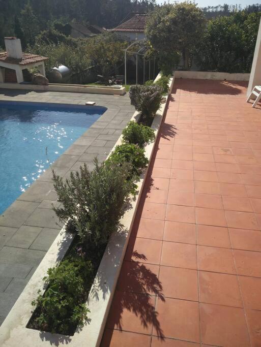 Villa Citrus Tree House, Private Pool And Garden. Angeja Exterior foto
