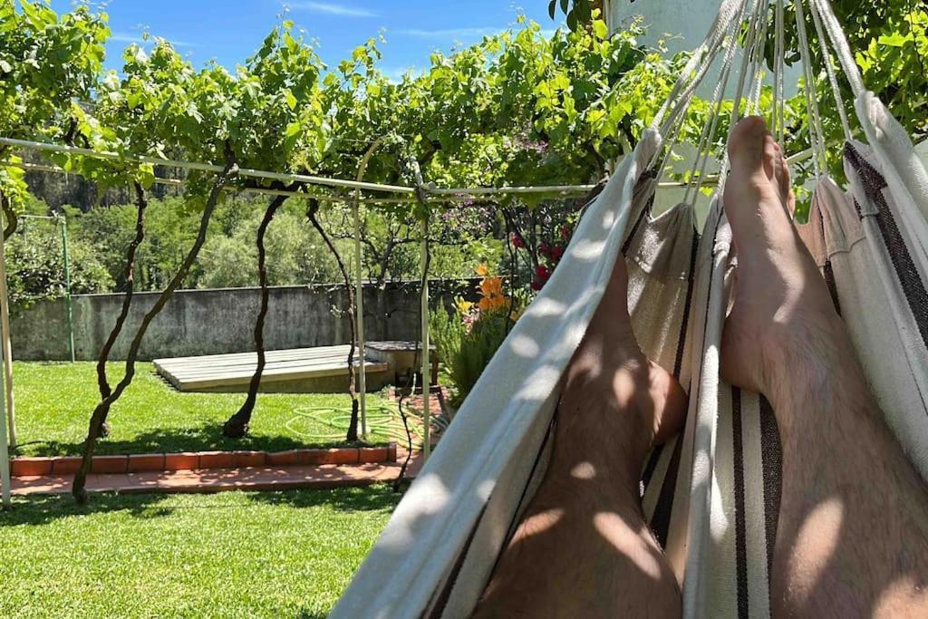 Villa Citrus Tree House, Private Pool And Garden. Angeja Exterior foto